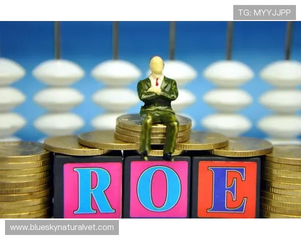 开云体育在线：智能推荐系统个性化推送喜爱的体育内容提升观看乐趣