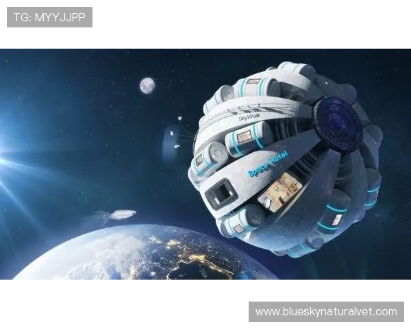 PA体育APP下载安装教程及使用技巧，方便你随时随地畅享体育娱乐体验