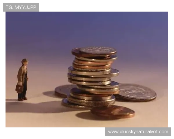 V体育棋牌安全保障措施详解确保玩家账号信息与资金安全