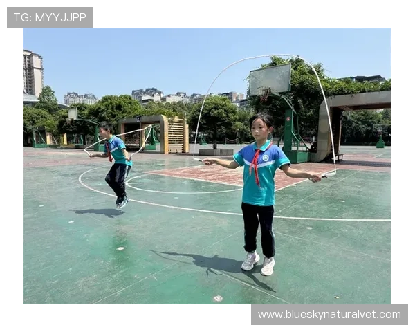 乐动体育社区如何帮助用户提升运动技能，分享实用训练技巧与科学健身方案，助力健康生活每一天