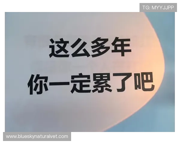 万象城真人体验评价与攻略分享助你了解真实用户的使用感受