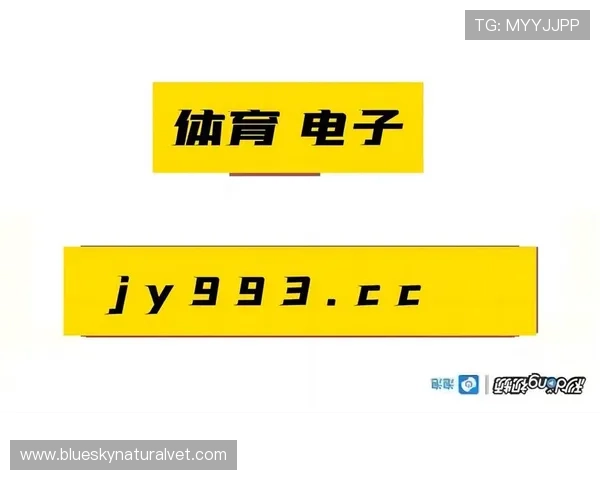 乐鱼体育平台全面解析：如何选择最适合你的体育赛事直播平台