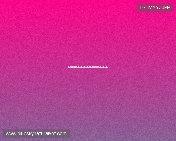 和记体育平台最新赛事资讯全面解析助你掌握第一手体育动态