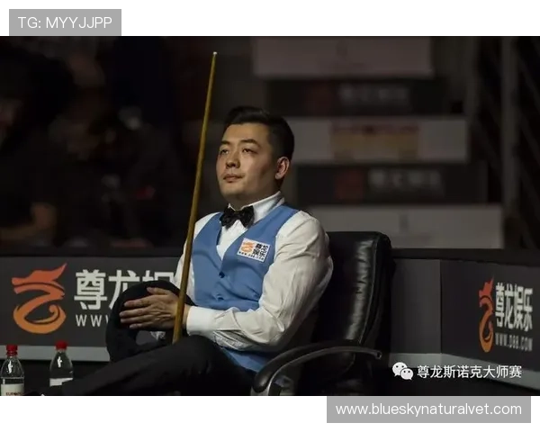 尊龙体育官方平台的VIP会员制度，享受专属权益和个性化服务