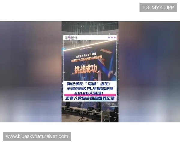 探索FB体育官方的丰富内容和互动功能，让你在体育世界中找到属于自己的精彩瞬间