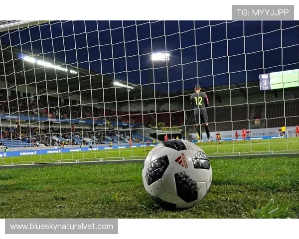 博鱼足球如何提升你的竞技水平实用技巧与实战经验分享