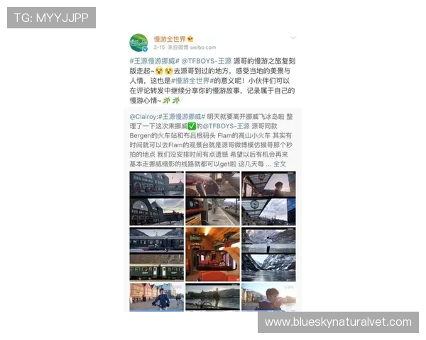 如何通过环球娱乐平台轻松获取全球最新娱乐资讯与热门内容