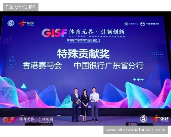 风云体育中文站提供的专业体育评论与深度报道满足不同用户需求