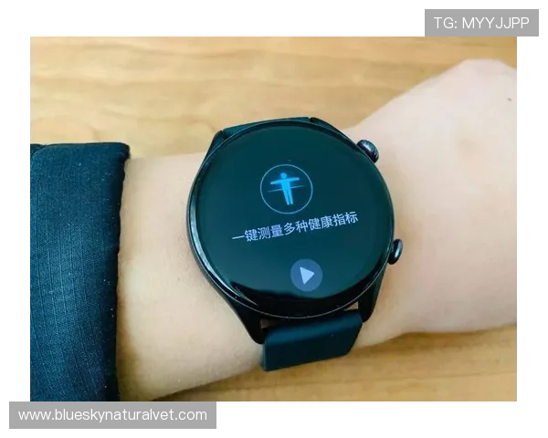 利用太空体育app实现全天候运动记录与健康数据管理的实用指南