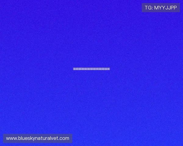 意大利天空体育网址最新官方入口全面介绍与使用指南