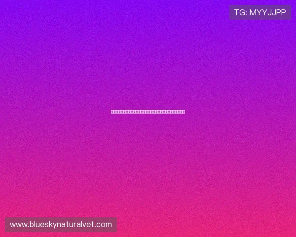 乌拉圭对西班牙世界杯赛前新闻汇总关注点与关键球员状态最新报道