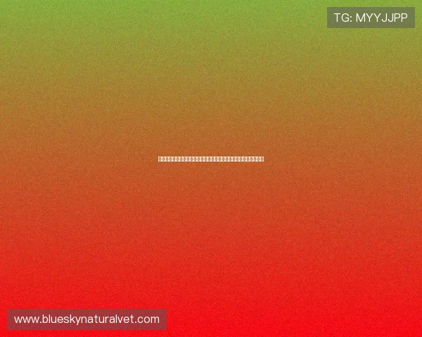 比利时队在国际足联世界杯中的表现亮点与新西兰队的防守策略分析