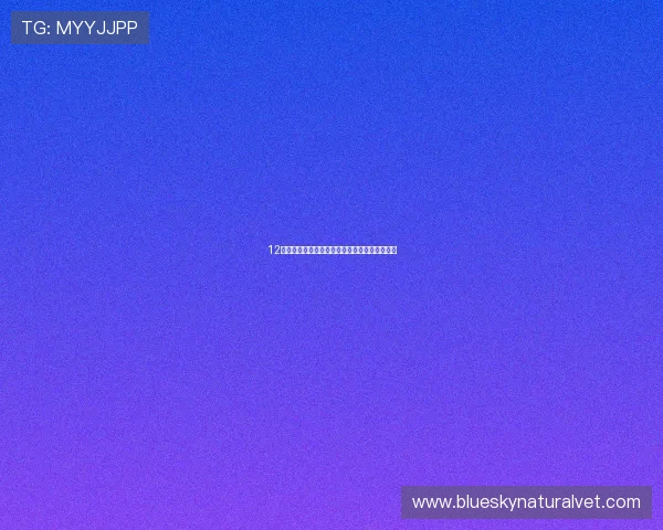 12博体育娱乐多平台登录与账号管理便捷操作指南