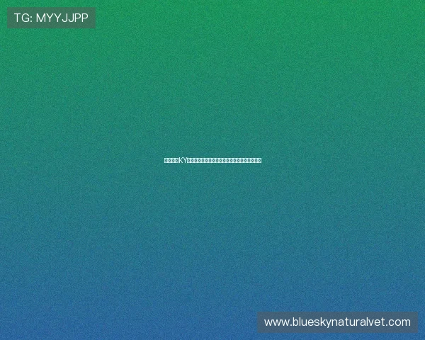 全面解析KY体育百家乐的规则与策略让你在游戏中稳操胜券