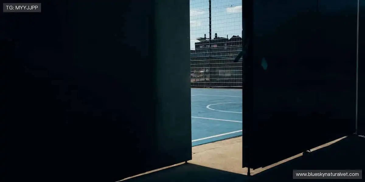 专业在线游戏中心:多端流畅极速秒开,陪你解锁每一局高能